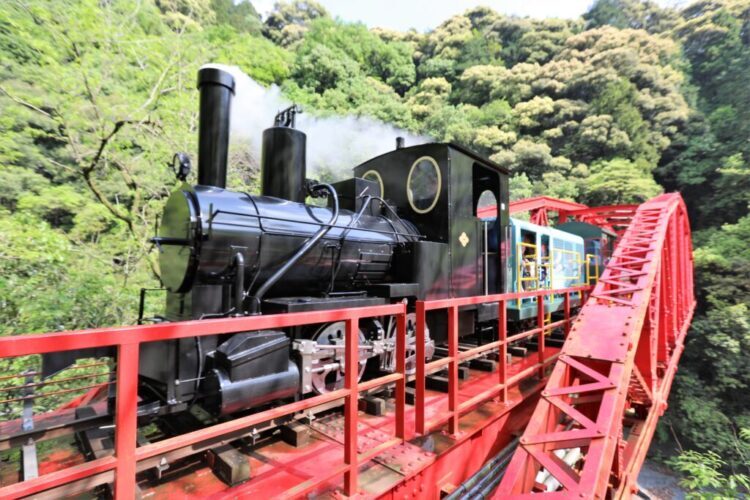 マイントピア別子　別子1号